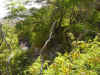 2006 Hiking-06.JPG (2358828 bytes)