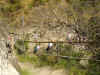 2006 Hiking-08.JPG (2254733 bytes)