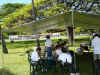 2006 Picnic-02.JPG (2332954 bytes)