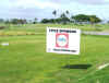 FALEA GOLF 259.jpg (805769 bytes)
