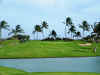 FALEA GOLF 261.jpg (1936894 bytes)